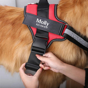 Personalized NO PULL Harness