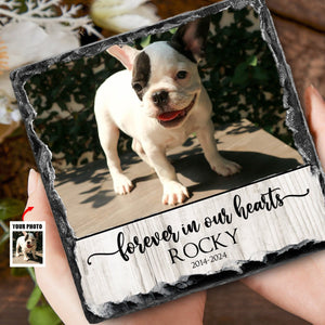 Personazlied Photo Rock Slate, Pet Loss Gift, Cat Memorial Gift, Pet Sympathy Gift