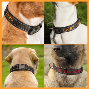 Personalized Multicolor Adjustable Reflective Strips Dog Collar with Embroidered Pet Name and Phone Number