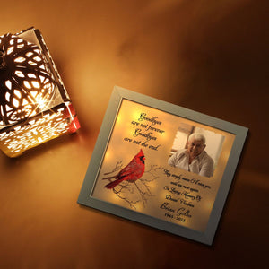 Good Bye Are Not The End-Personalized Cardinal Bird Light Shadow Box