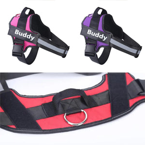 Personalized NO PULL Harness